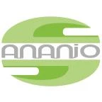 Logo ANANJO Informatiker Fischer Simon & Partner