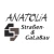 Logo Anatolia Straßen- und GaLaBau GmbH