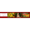 Logo Heiss, Andrea