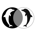 Logo der JOY Heilpraktikerpraxis f&uuml;r Paartherapie und Psychotherapie