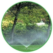 Logo P&auml;pke Haus- u. Gartenservice
