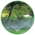 Logo Andreas Paepke Haus- und Gartenservice