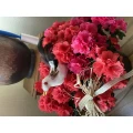 Andreas Steins Blumen Krimp Erkelenz
