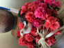 Logo Andreas Steins Blumen Krimp