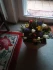 Logo Anette Seik-Emmermann Blumenhandel