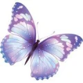 Logo Fricke, Angela
