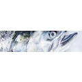 Logo Angelcenter-Weiss