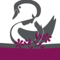 Logo Angies Beauty Studio