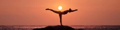 Logo Lerm, Angelika