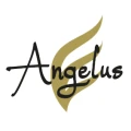 Angelus Management Beratungs und Service KG M&uuml;nchen