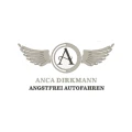 Angstfrei Autofahren by Anca Dirkmann Rheine
