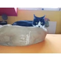 Animal Docs Ihre Tierarztpraxis in Reinickendorf Berlin