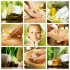 Logo Anja Batsch Physiotherapie