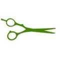 Logo The Barber Shop