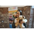 Ankaro Events & Concepts Frankfurt