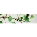 Logo Breuer, Anke
