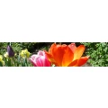 Logo Anke Gebel Ferienwohnung Thyrow