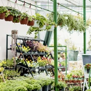 Anke Jeske Klaus-Dieter Gartencenter Landschaftsbau Westerstede