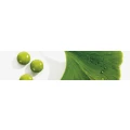 Logo Wenz, Anna-Maria