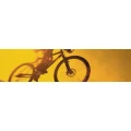 Logo Annes Bike Shop