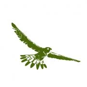 Logo Annette Falkenberg Naturheilpraxis