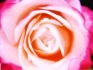 Logo Antaryamin Seelenheilwerkstatt Susan Evers