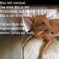 ANUBIS-Tierbestattungen Partner Mainz-Rhein-Nahe Mainz