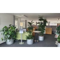 AOK Hessen - Kundencenter Schl&uuml;chtern Schl&uuml;chtern