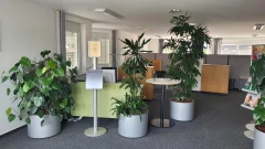 AOK Hessen - Kundencenter Schl&uuml;chtern Schl&uuml;chtern