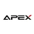 Logo APEX Semiconductor GmbH
