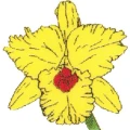 Logo Apotheke auf der Horst