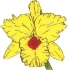 Logo Apotheke auf der Horst Anke Liepe