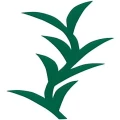 Logo Apotheke im Heide-Center
