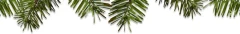 Logo Apotheke Plauen Michael Hinz