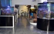 Logo Aqua Tropica Inh. Atakan Sever