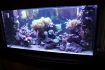 Logo Aquaristik Stratmann