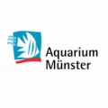 Logo Aquarium M&uuml;nster Pahlsmeier GmbH