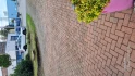 Logo arbo-art, BAUMDIENST, HOLZ- & GARTENGESTALTUNG