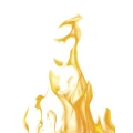 Logo ARCHITEKTION (R) fire-care international