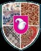Logo ARCO TEPPICHE, Arco