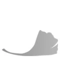Logo ARGENTUM Bestattungen