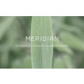 Logo Meridian, Ariestanto