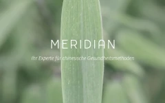 Logo Meridian, Ariestanto