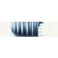 Logo Arnold Pfau