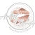 Logo Artist of Beauty
