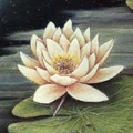 Atelier Lotus Kunstgalerie f&uuml;r Wandgestaltung Albstadt