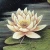 Logo Atelier Lotus Kunstgalerie für Wandgestaltung