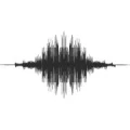 Logo Audio-Vision