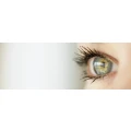 Logo Augenoptik Sachau