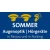 Logo Augenoptik Sommer H&ouml;rger&auml;te GmbH